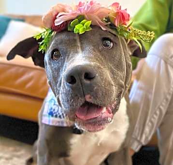 Photo of Maribella Made to love full of fun