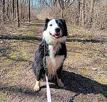 Photo of Phantom