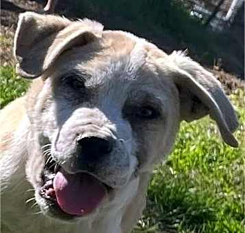 Photo of Monty