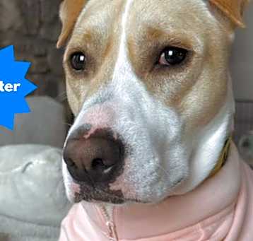 Photo of DAISY