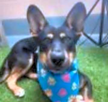 Photo of Lucky #8