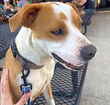 Photo of Bessie