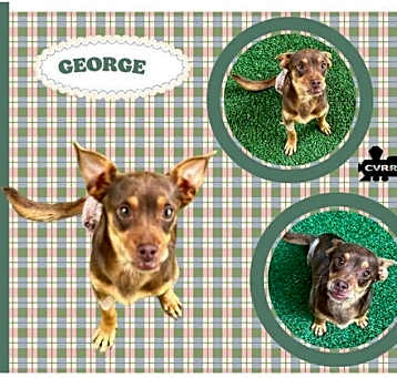 Photo of George