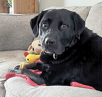 Photo of Tucker - Courtesy Listing