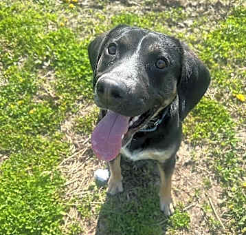 Photo of Romeo