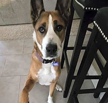 Photo of Hermes
