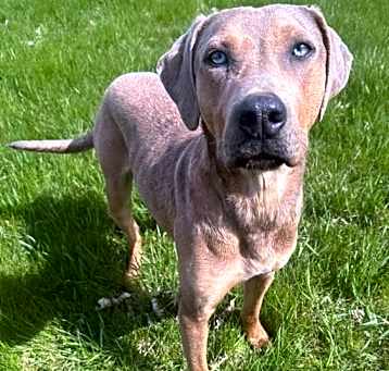 Photo of Archie