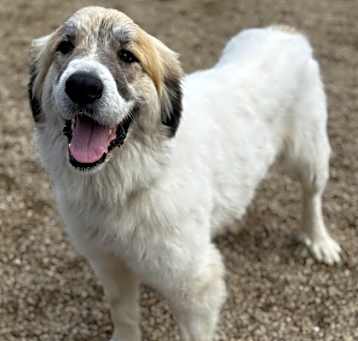 Photo of Macy