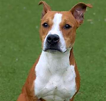 Photo of Kilo