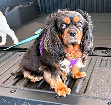 Photo of Ella Mae