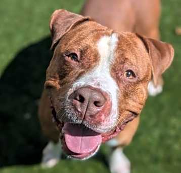 Photo of Sisko