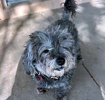 Photo of Missy
