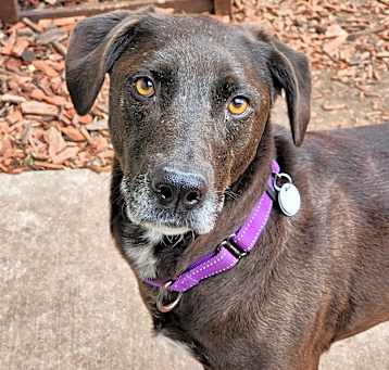 Photo of Daffy