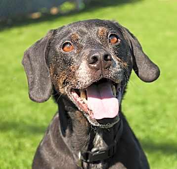 Photo of Tucker