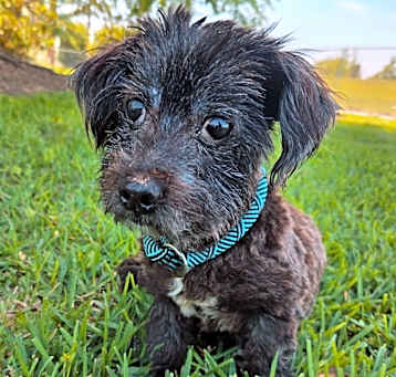 Photo of Mack