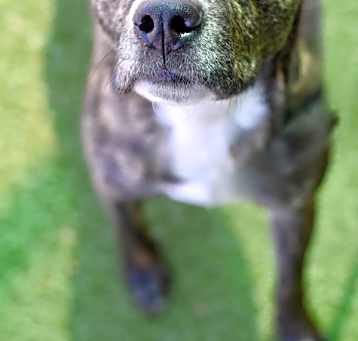 Photo of Tiny