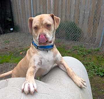 Photo of Cooper