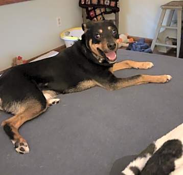 Photo of Remington