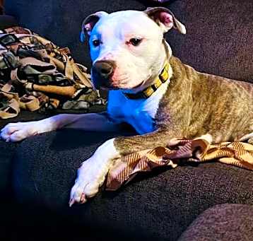 Photo of Xena