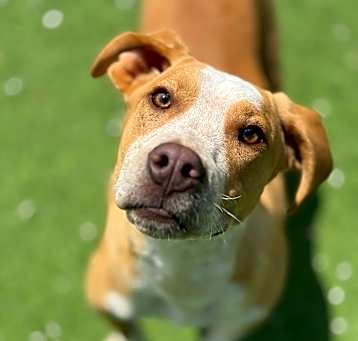Photo of BRUCE 1224