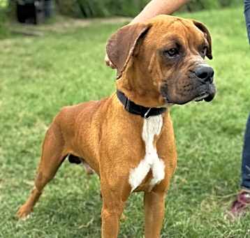 Photo of Tucker