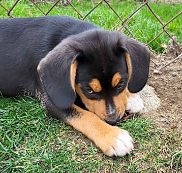 Photo of Maggie
