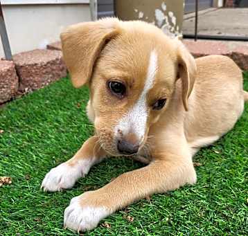 Photo of Ottis