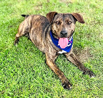 Photo of Lucy 24-12-079