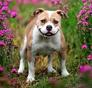 Photo of Gloria