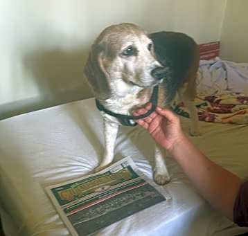 Photo of Buddy