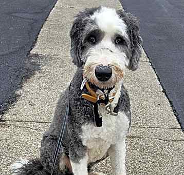 Photo of Bernie
