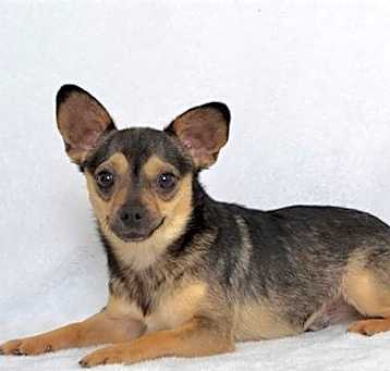 Photo of ROCKY