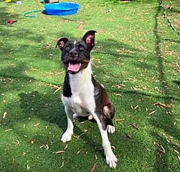 Photo of MAX