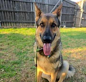 Photo of Oso