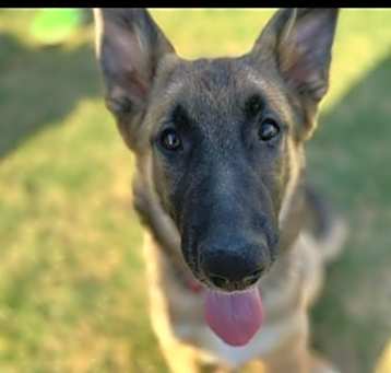 Photo of Major