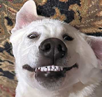 Photo of Barry White