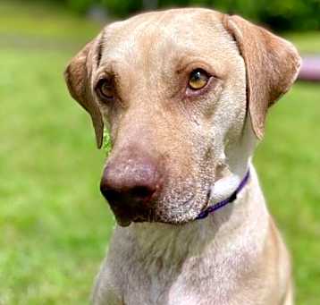 Photo of Sounder