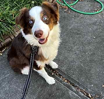 Photo of Bubba