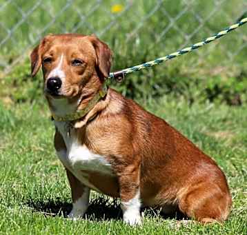 Photo of Genny