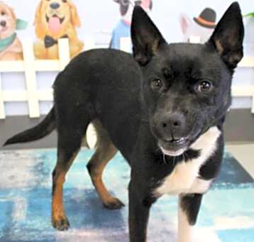 Photo of Juliet URGENT GORGEOUS GIRL