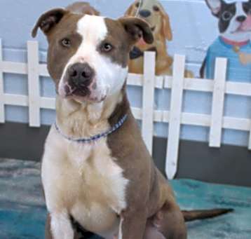 Photo of Deuce HELP!!!!