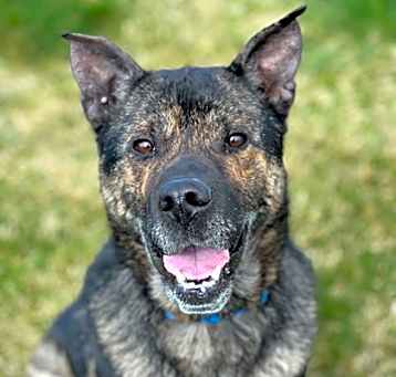 Photo of Kip (real name) 705649