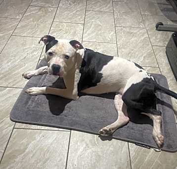Photo of Mimi