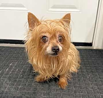Photo of Mia
