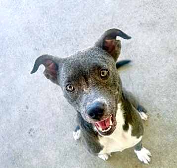 Photo of Sally