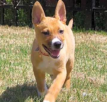 Photo of Daisy Mae