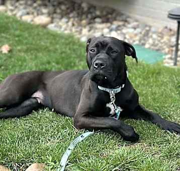 Photo of Storm