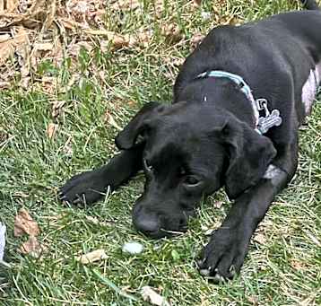 Photo of Hallie