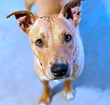 Photo of Buffy