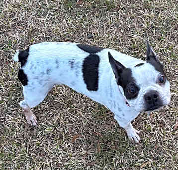Photo of Lulu